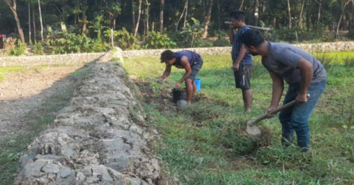 পাল্টেগেছে কৃষির ধরণ, বদলে যাচ্ছে কৃষক শ্রেণী