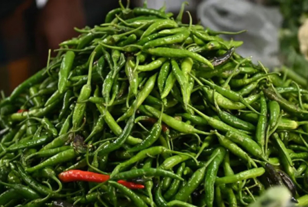 আবার শুরু হয়েছে কাঁচামরিচের সিন্ডিকেট