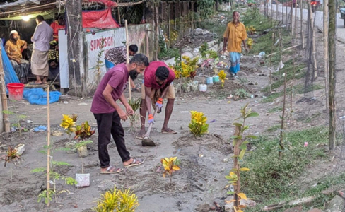 কুয়াকাটায় সড়কের পাশের অবৈধ স্থাপনা বন্ধে সবুজায়নের উদ্যোগ