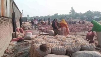 বাংলাদেশের সিদ্ধান্তে বিপাকে ভারত, সীমান্তে পচছে ৩০ হাজার টন পেঁয়াজ