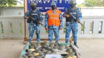 বিরল প্রজাতির ৬২টি কচ্ছপ উদ্ধার