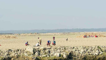 চরাঞ্চলে তরমুজ চাষে অর্থনৈতিক বৃদ্ধি, বদলাচ্ছে কৃষকের জীবন