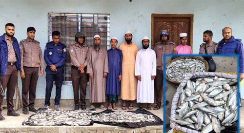 টঙ্গীবাড়িতে জাটকা জব্দ ৭০ কেজি জাটকা ইলিশ জব্দ