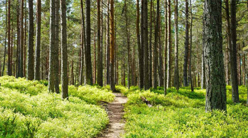 সাত বছরের শিশুর ওপর নির্মম হামলা